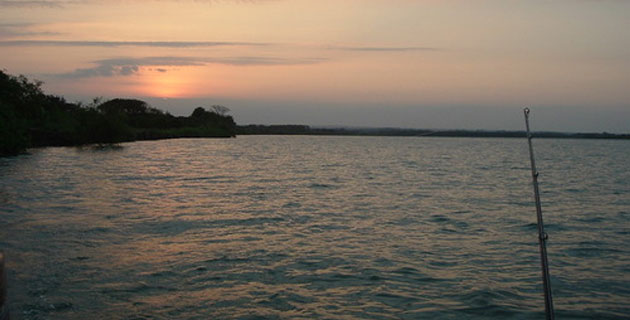Pesca