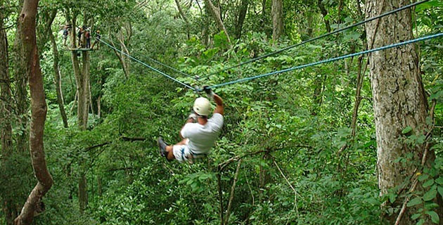 Canopy
