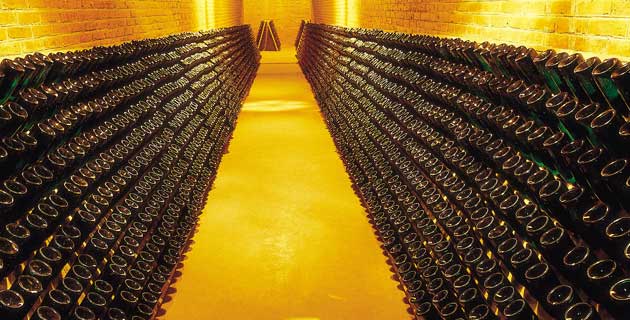 Viñedos de Freixenet