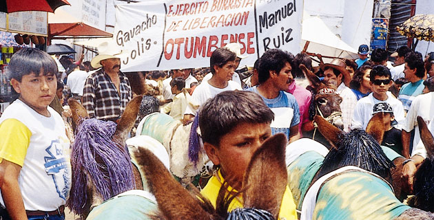 Feria del Burro en Otumba.