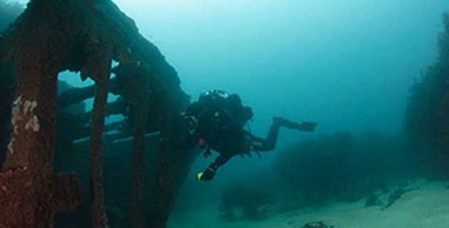 Veracruz posee más de 300 barcos hundidos para explorar a través del buceo. / 