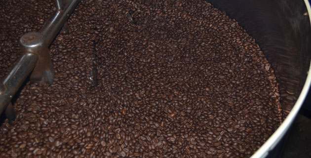 El recorrido en la finca es un imprescindible para conocer más de este café gourmet. / Foto: Guillermo Motolinia