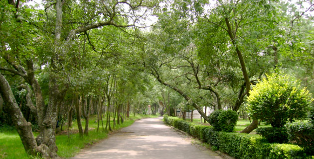  / Foto: RS-Camaleon