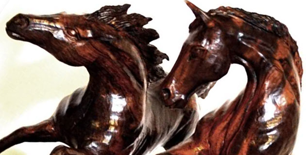 caballos_palo_fierro / México Desconocido