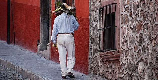 Hombre cargando unas palmas en las calles de San Miguel de Allende. / Foto: Robert Crumb