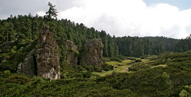 Paraje en el Parque Nacional El Chico en Hidalgo. / Foto: Ernesto Polo