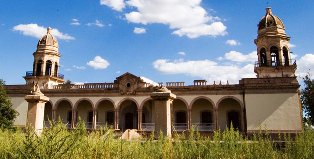 quinta_carolina_chihuahua / eldementelibre