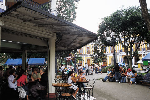 Centro de Coatepec, Veracruz / María de Lourdes Alonso