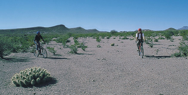 Paseos en bicicleta en la Reserva de la Biosfera Bolsón de Mapimí