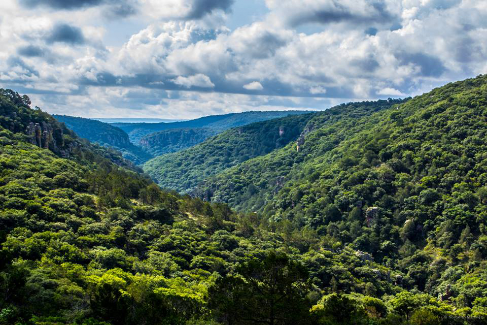 Sierra de Lobos - México Desconocido