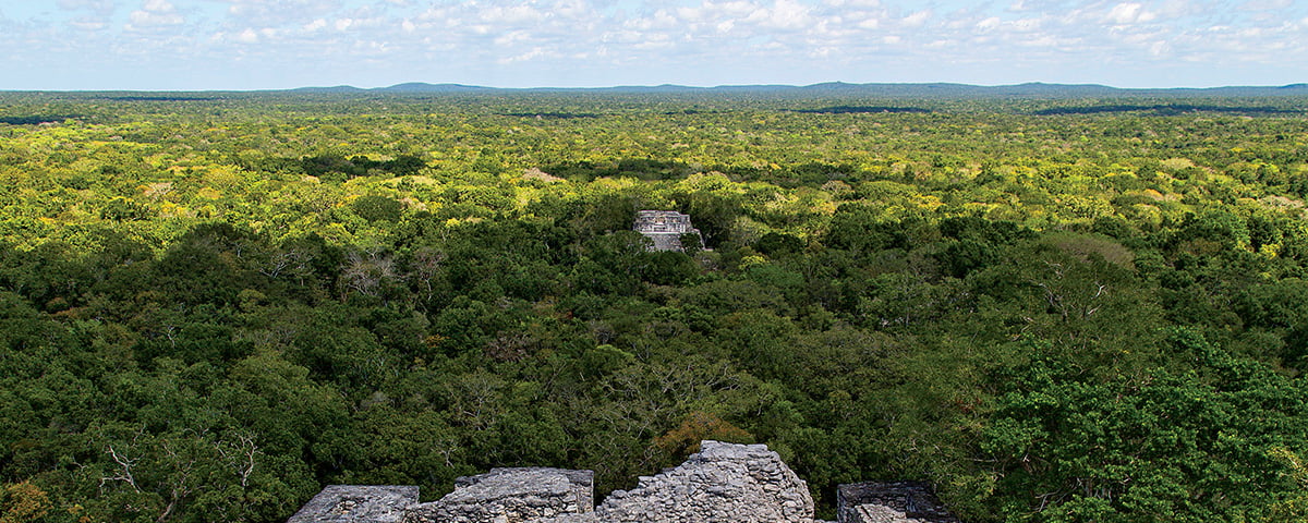 3 Áreas Naturales Protegidas que debes conocer en Campeche