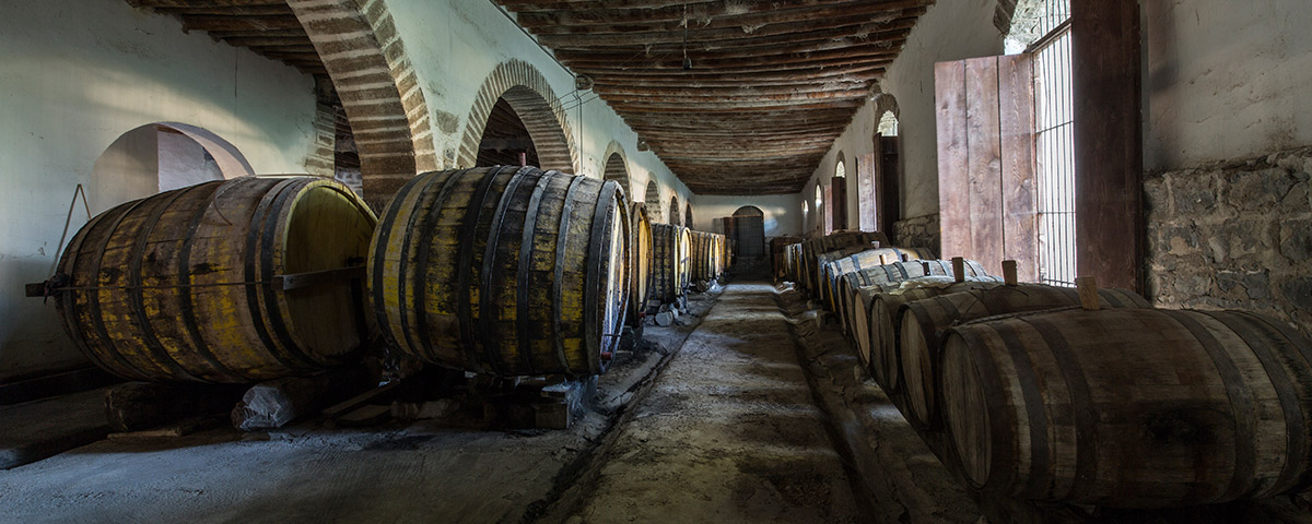 8 viñedos para probar los mejores vinos de México 