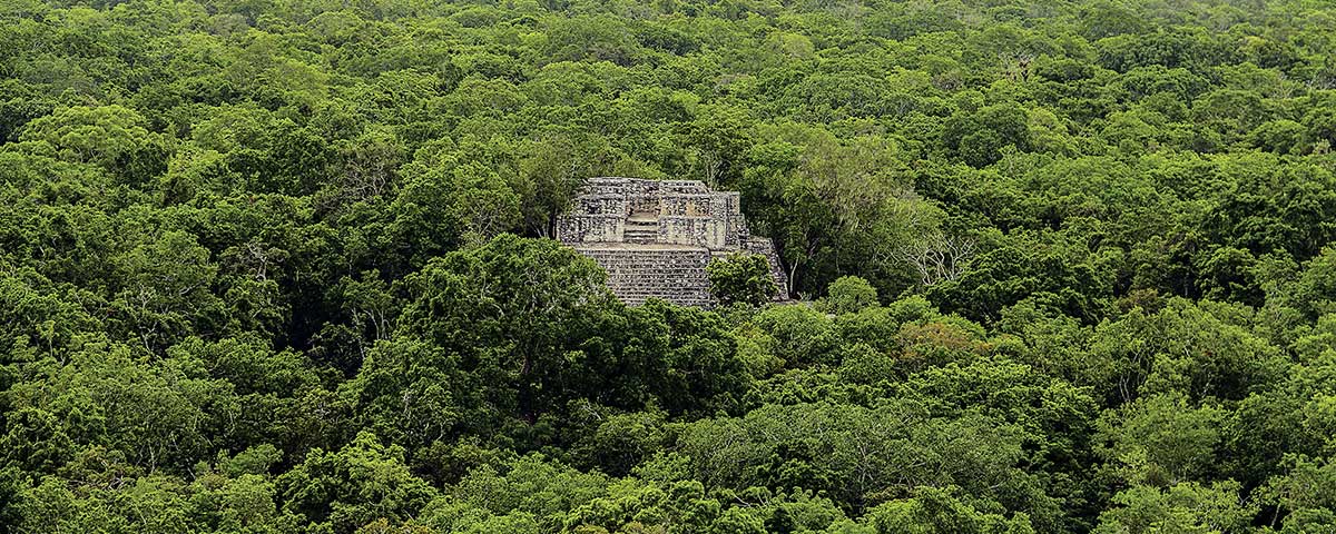 5 imágenes de Calakmul, en Campeche
