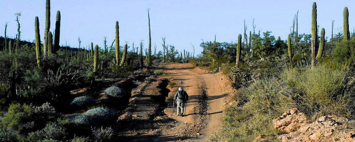 Travesía Baja 100: Más que una competencia, una experiencia de vida fifu
