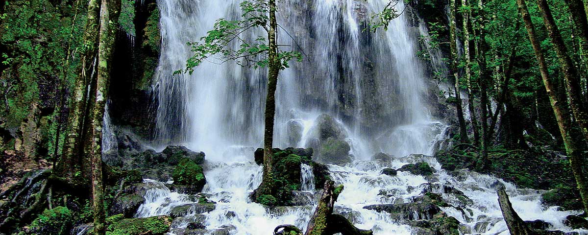 Reserva de la Biosfera El Cielo en Tamaulipas fifu