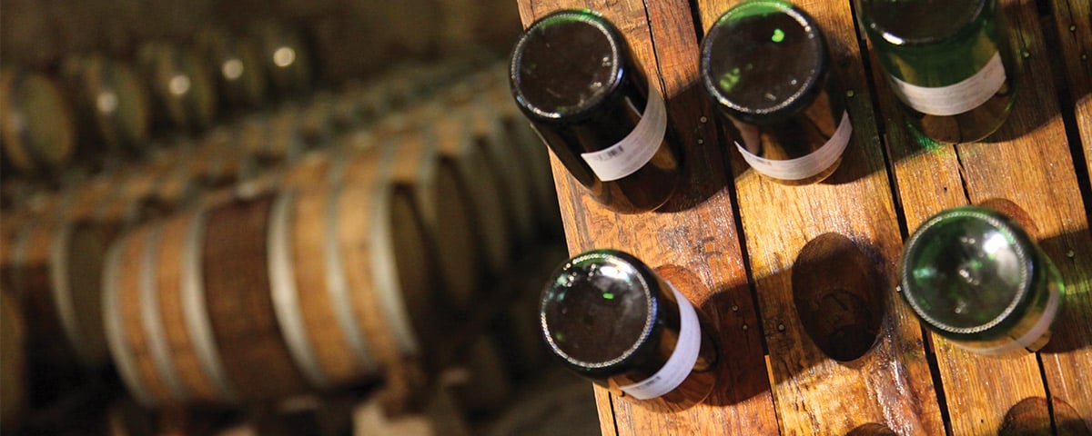 8 viñedos para probar los mejores vinos de México 