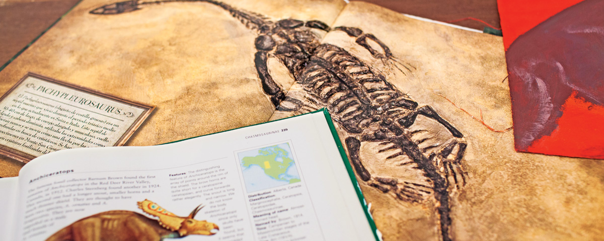 Experiencias únicas: sigue las huellas de los dinosaurios en Coahuila fifu
