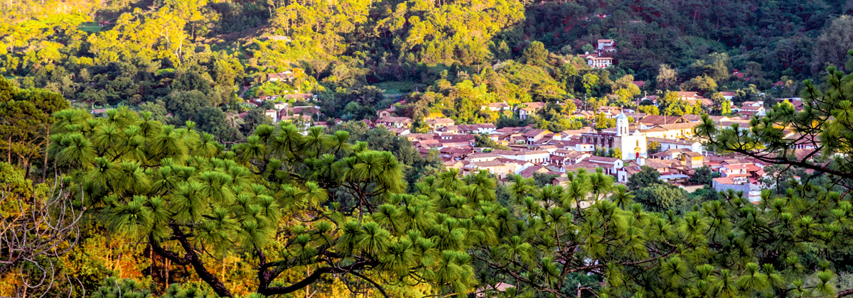 San Sebastián del Oeste fifu