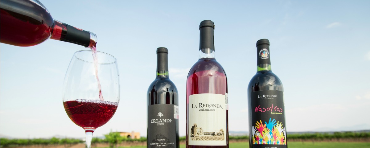 Música + vino: Rock Tour en los viñedos de Tequisquiapan fifu