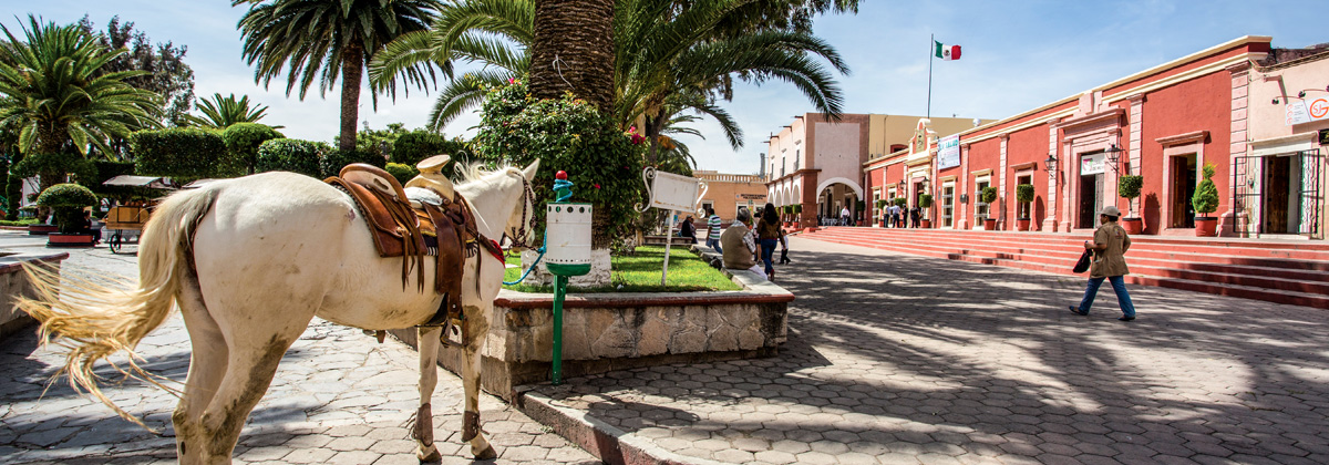 Cadereyta, la entrada a la Sierra Gorda de Querétaro fifu