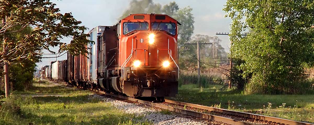 Regresa el tren a Veracruz fifu