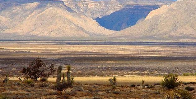 Ecocidio en el desierto chihuahuense