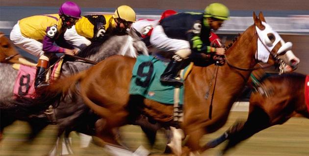 El mundo mágico de los caballos de carreras fifu