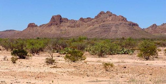 Reserva de la Biósfera de Mapimí (Durango) fifu