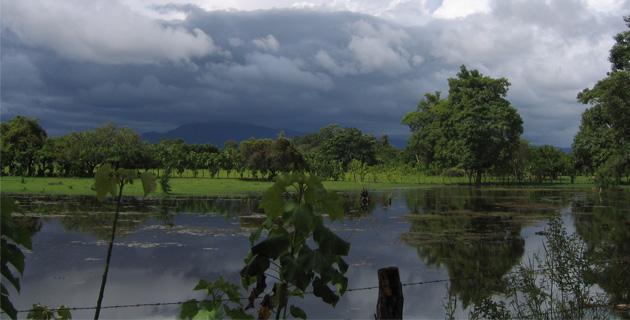 cafetaleras de Chiapas