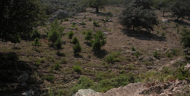El Santuario de Mapethé (Hidalgo) fifu