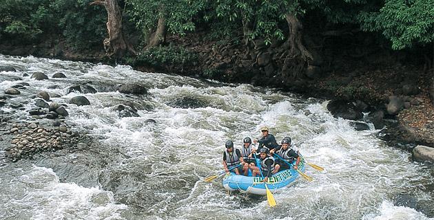 Camino a Cotlamanis (Veracruz) fifu