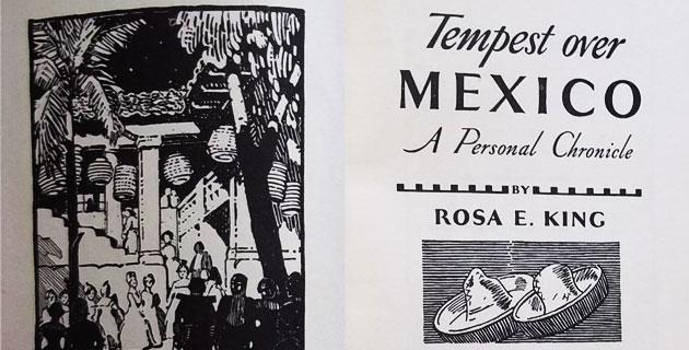 Tempestad sobre México de Rosa Eleanor King fifu