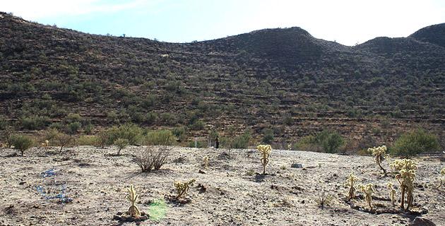 Los misteriosos vestigios de la cultura Trincheras en Sonora fifu