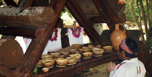 La cosecha de la miel. Ceremonia ancestral de la cosmogonía maya fifu
