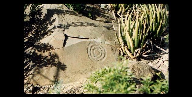 Vida jurásica del Cañón del Huizachal (Tamaulipas) fifu