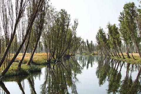 Canales de Xochimilco / David Paniagua