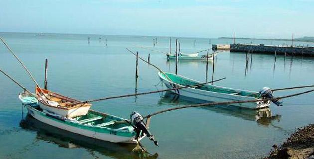 El pescado, un manjar salido del mar fifu