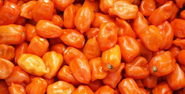 Receta: Salsa de chile habanero fifu