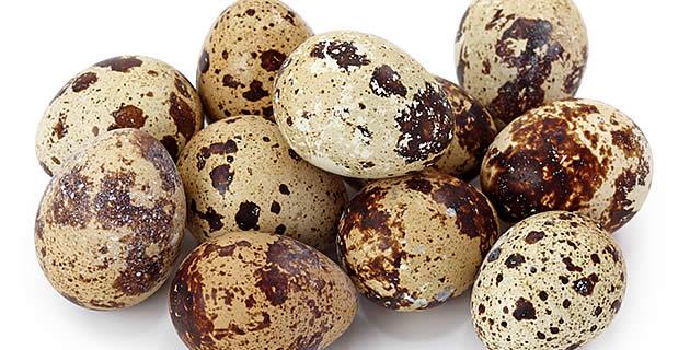 Huevos de codorniz en vinagre fifu