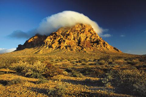 Desierto El Vizcaíno, Baja California Sur / Miguel Ángel de la Cueva