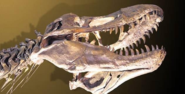 Dinosaurios mexicanos - México Desconocido Dinosaurios mexicanos - México Desconocido