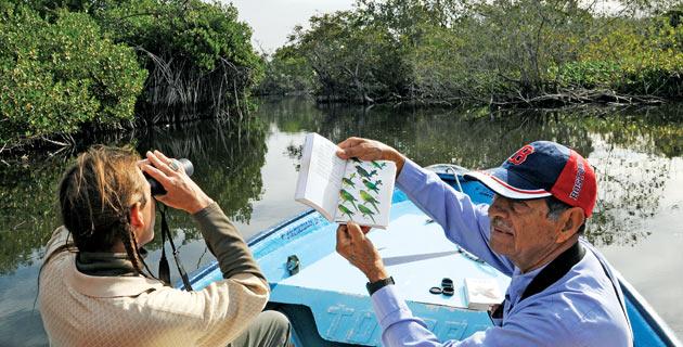 4 rutas para observar aves en Nayarit fifu