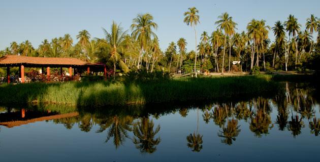 La Laguna de Michigan, la antigua «isla de pájaros» fifu