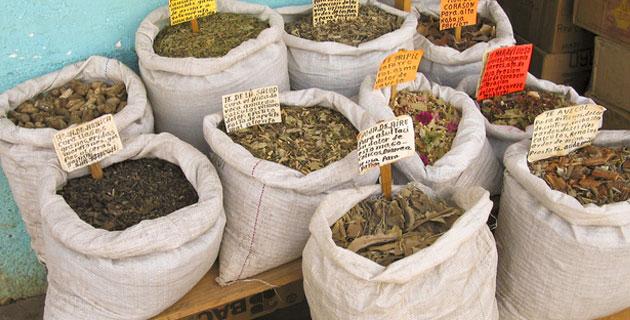 Las plantas medicinales más importantes de México (II): Zona Centro fifu