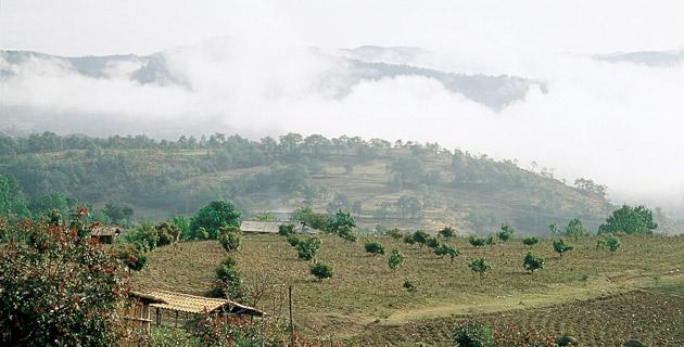 Fiestas de muertos en la sierra Mazateca (Oaxaca) fifu