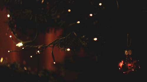 Luces en los árboles de Navidad