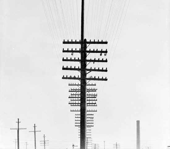  Tina Modotti, "Cables telefónicos", cortesía Fototeca Nacional Colección Incremento Acervo