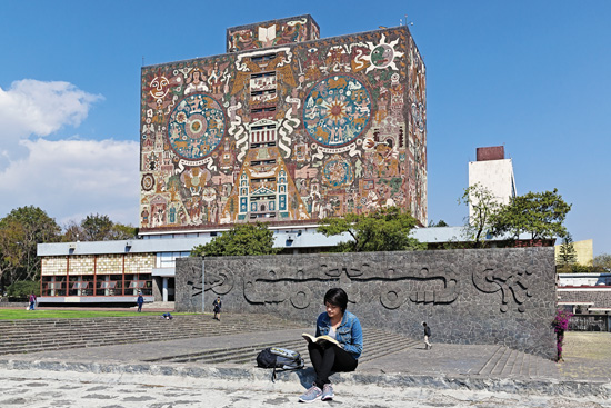 Los espacios propicios para la lectura abundan en Ciudad Universitaria / Foto: Carlos García