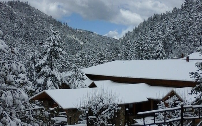 Cortesía Bosques de Monterreal 