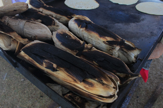 Tamales asados / Viridiana Mirón